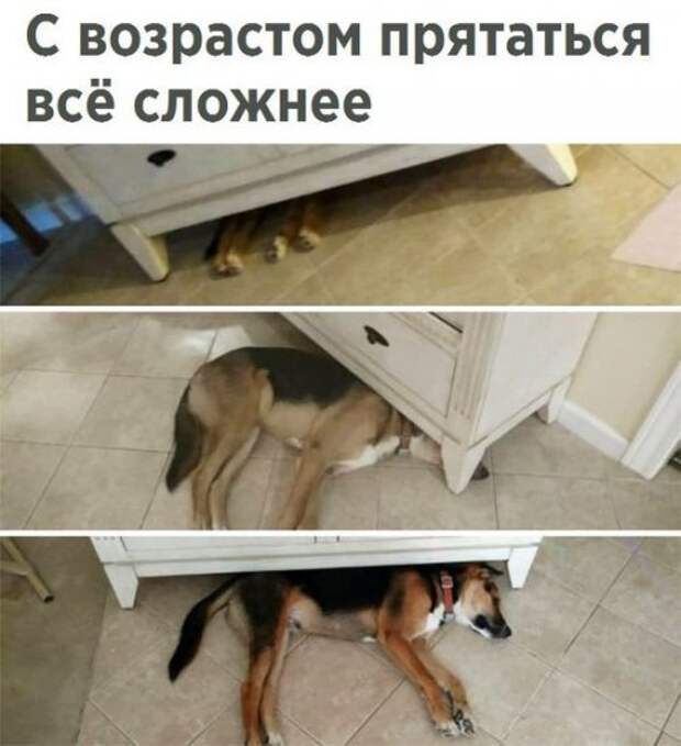 Новые фотомемы (24 шт)