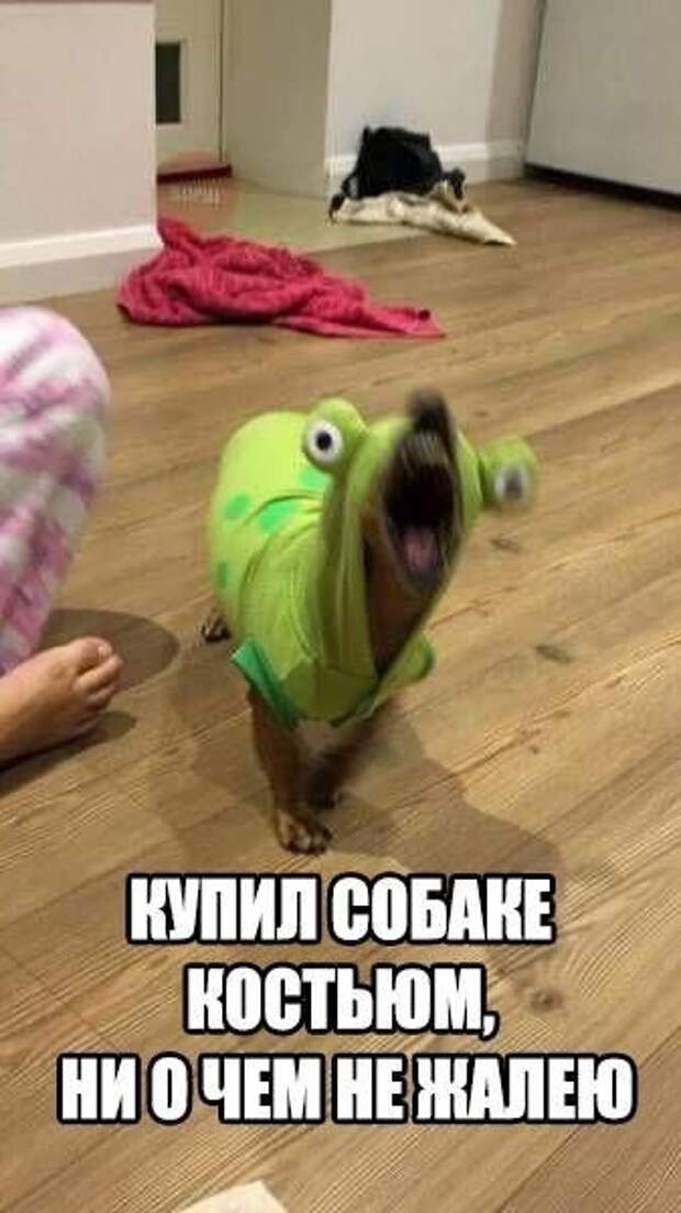 Весело до сумасшествия