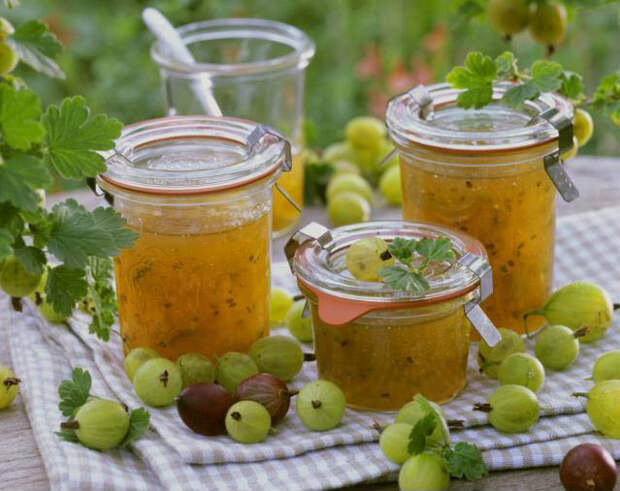 Соус из крыжовника - Закуски - Рецепты с фото