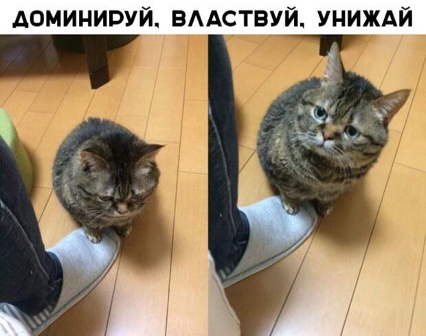 Подборка картинок (32 фото)