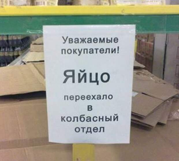 Если кто потерял яйцо, следующая информация может оказаться полезной.