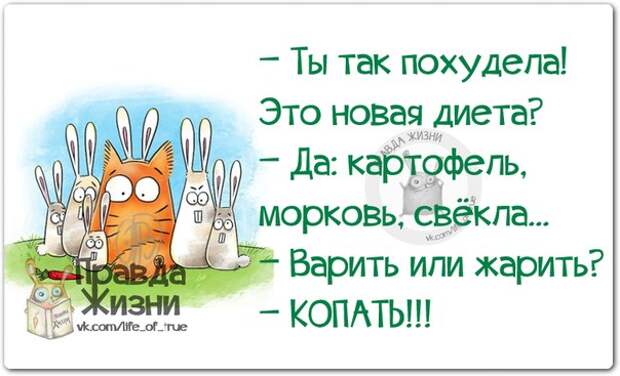 Прикольные фразочки в картинках