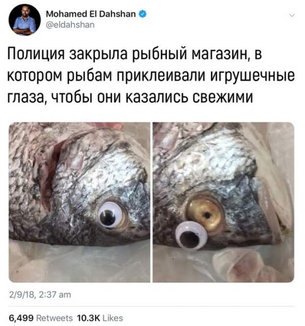 Свежая рыба