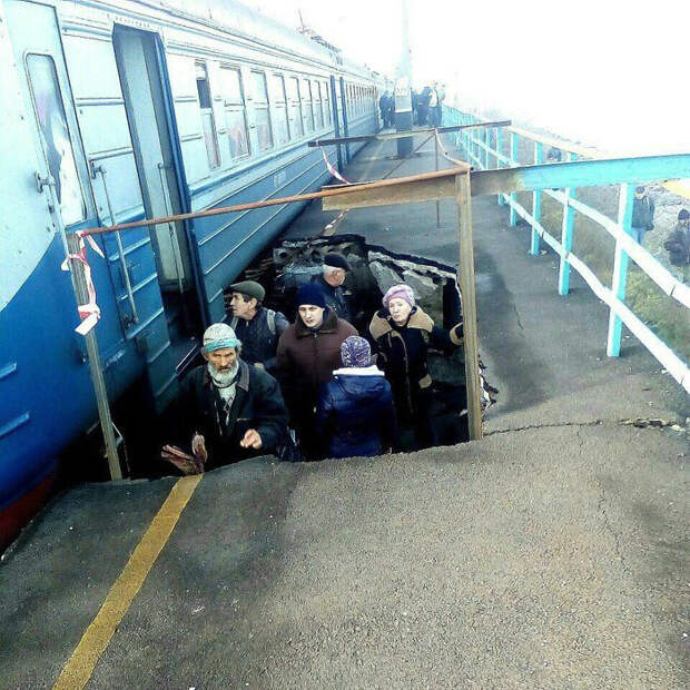 Нижний ярус. Нижний ярус.