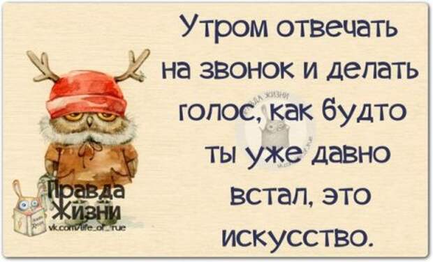 Прикольные "правдивости"