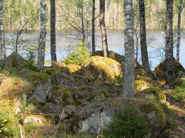 image sweden-fishing-0049-jpg
