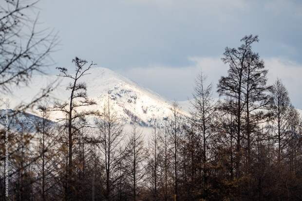 Марь. Джергинский караул путешествия, факты, фото