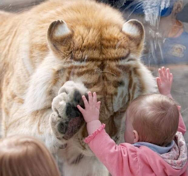 Больше, чем просто фото