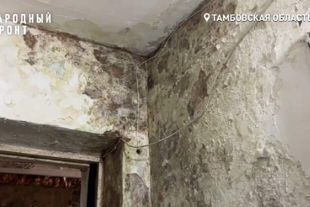 Тамбовчане уже восемь лет задыхаются от плесени из-за протекающей крыши