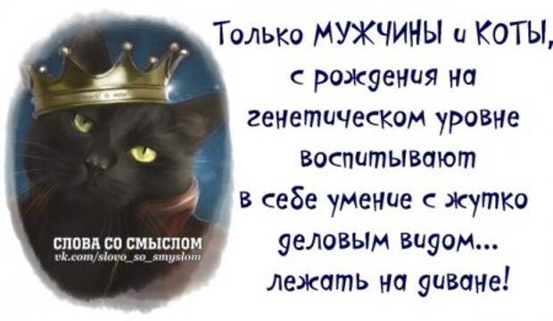 Позитивные фразочки...