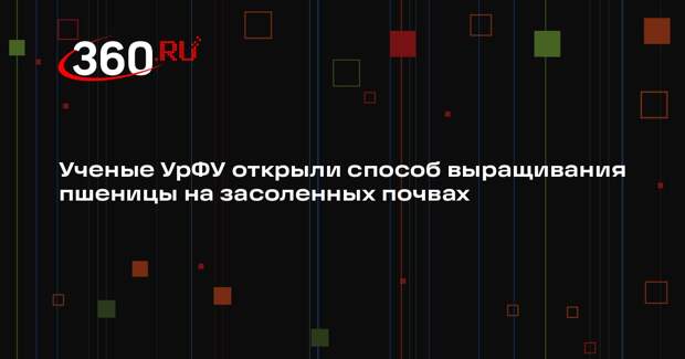 Ученые УрФУ открыли способ выращивания пшеницы на засоленных почвах