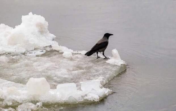 В Петербург приходят циклоны с дождём и снегом
