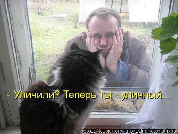 Лучшие котоматрицы недели (50 фото) Лучшие котоматрицы недели (50 фото)