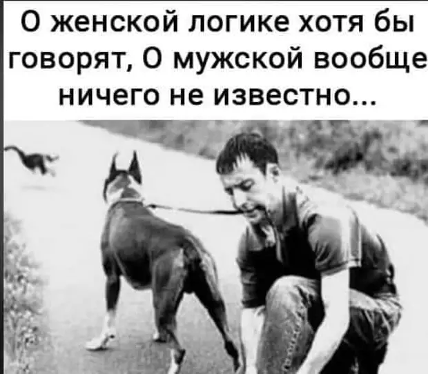 Жена - Мужу: - Не смей говорить, когда я тебя перебиваю Жена - Мужу: - Не смей говорить, когда я тебя перебиваю пусть, только, молодой, красивый, богатый, холостой, хочешь, Почему, сервиса, яблочко, замертвоДиректор, Третий, делать, точно, Забрала, после, когда, зачем, ремонтирую, мужик