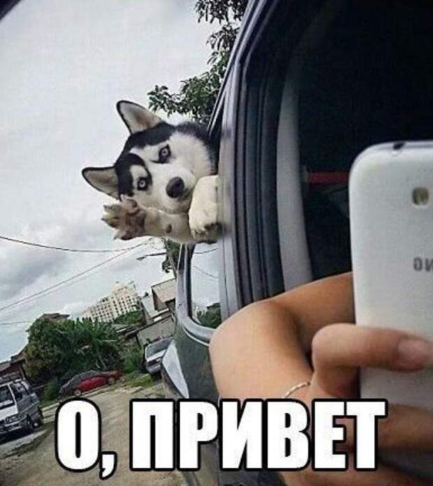 Сборник фотоприколов на автотематику (26 шт)