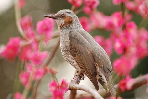 Есть только миг между прошлым и будущем... Есть только миг между прошлым и будущем...