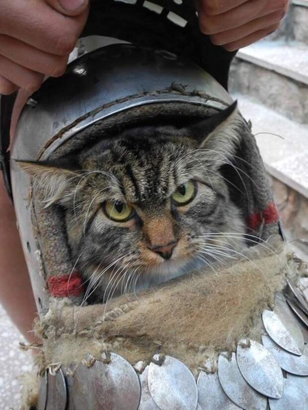 Я положил много врагов, ты следующий!