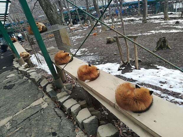 Подборка прикольных картинок