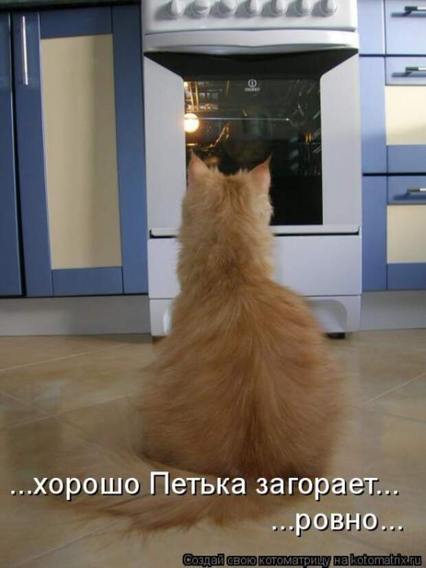 Лучшие котоматрицы недели (50 фото) Лучшие котоматрицы недели (50 фото)