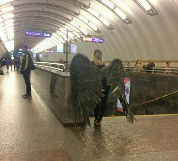 Прикольные картинки и мемы