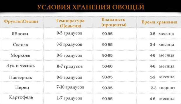 Как правильно хранить фрукты, овощи и ягоды в летнее время, чтобы они не испортились