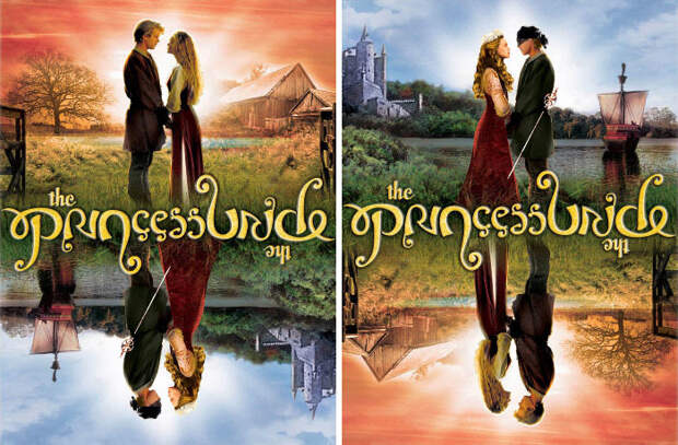 The Cover Of The Princess Bride 20th Anniversary Edition Dvd Can Be Read Upside Down As Well As Right Side Up
