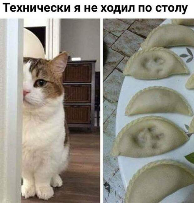 По столу не ходил )