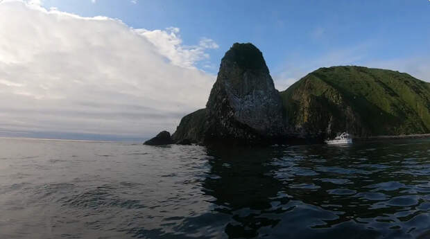 Nature: У берегов Камчатки ученые нашли загадочные организмы-пришельцы