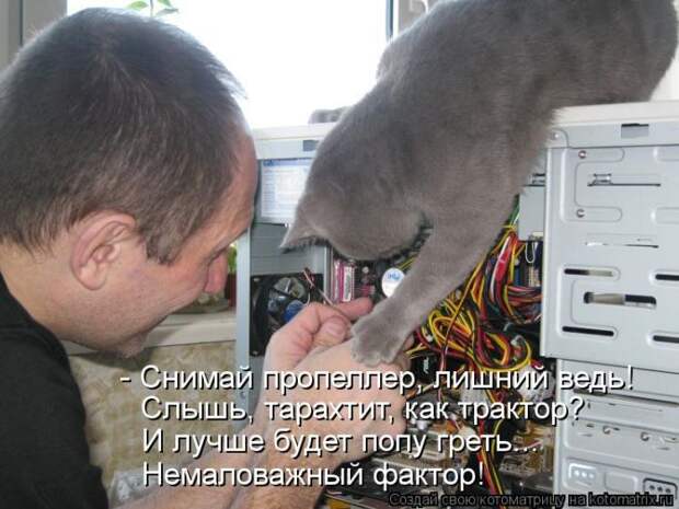 Лучшие котоматрицы недели Лучшие котоматрицы недели