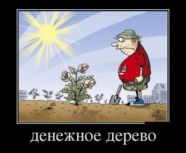 Веселые демотиваторы на среду (11 фото) Веселые демотиваторы на среду (11 фото)