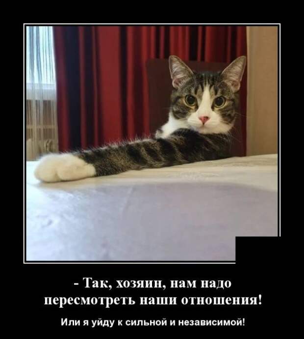 demotivatory-demotivator-smeshnye-demotivatory-demotivator-so-smyslom