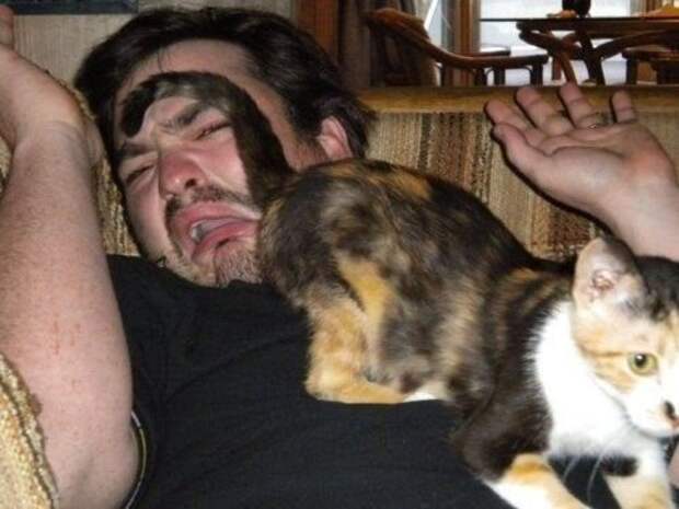 Пушистые засранцы