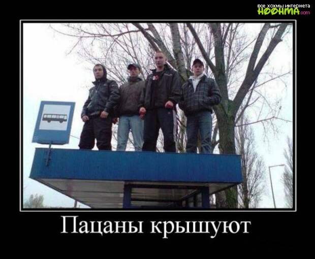 Демотиваторы. Выпуск 42