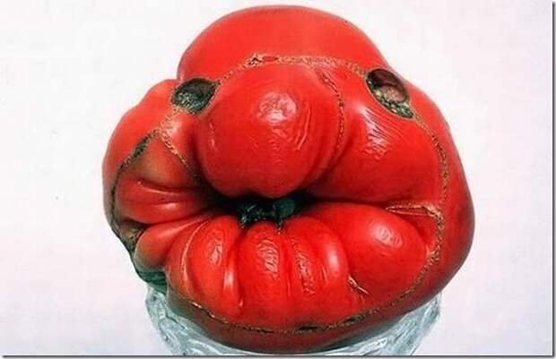 unusual-fruit-and-vegetables05