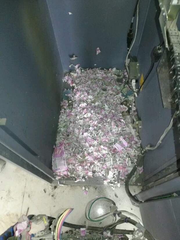 В Индии крысы уничтожили более миллиона рупий в банкомате банкомат, в мире, деньги, индия, крысы