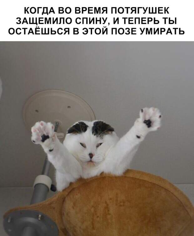 Аморальные мемы