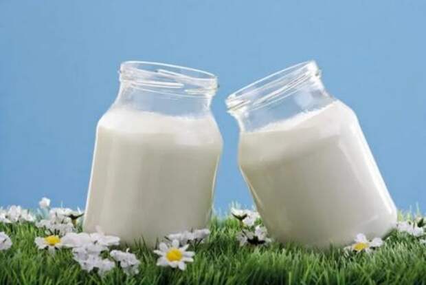 Что полезнее: кефир или йогурт