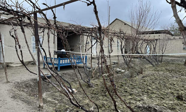 2 Узбекистан кишлак