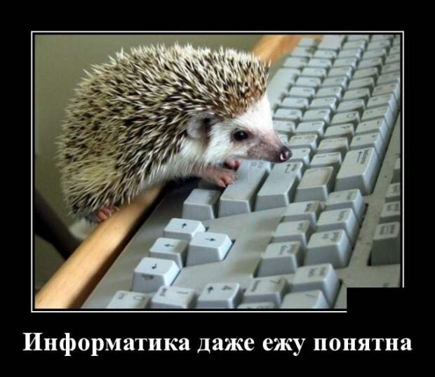 Демотиваторы