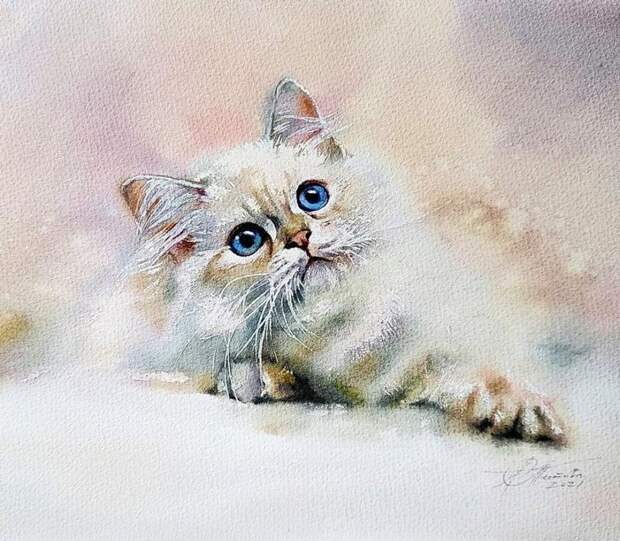 Художница Титова Любовь Витальевна и ее коты.