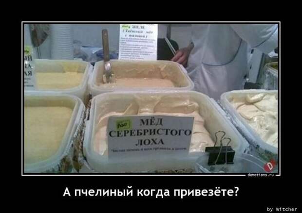 Свежих демотиваторов порция (20 фото)