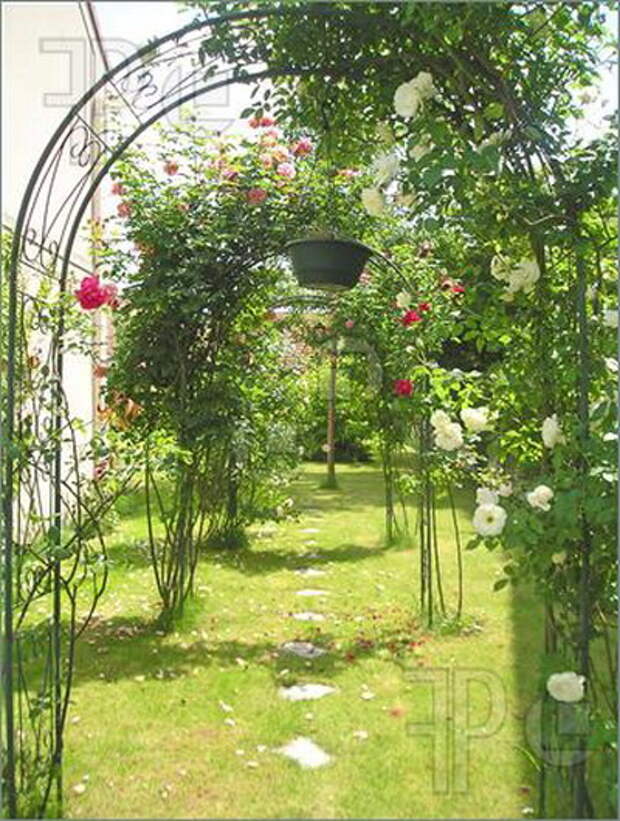 arbor-and-archway-in-garden1-13.jpg