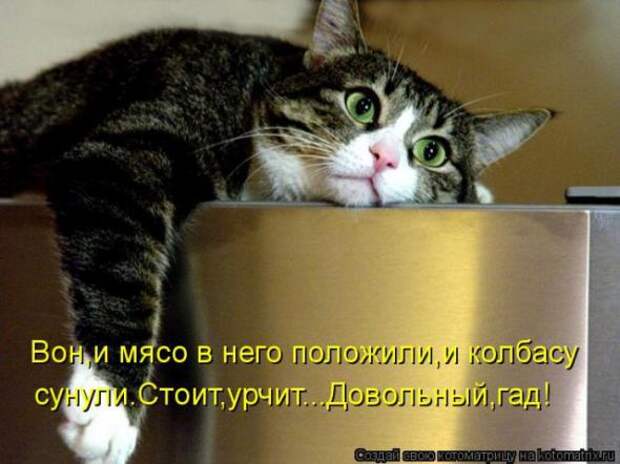 Котоматрицы (картинки с надписями)