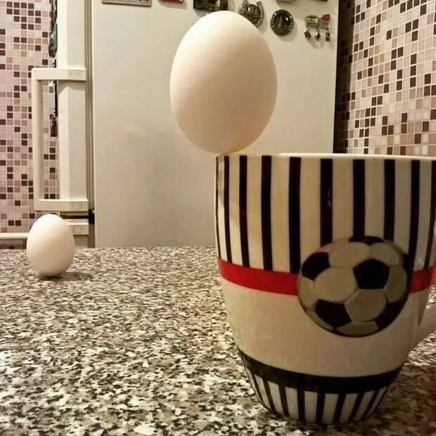 Когда стало скучно просто пить чай... Когда стало скучно просто пить чай...