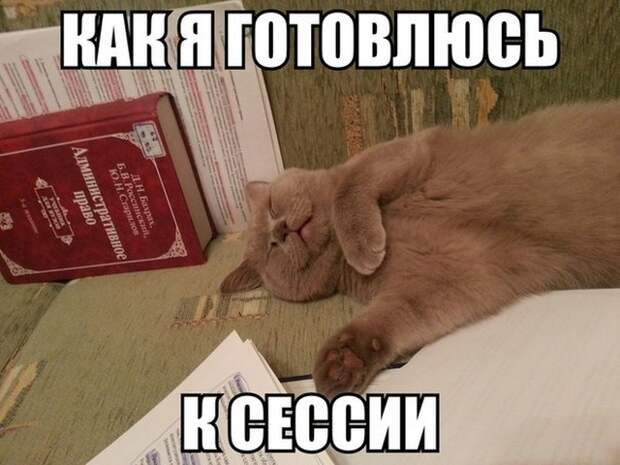 Шутки и юмор без смысловой нагрузки