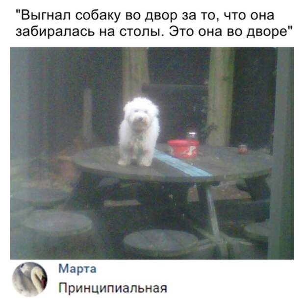 Принципиальная Принципиальная