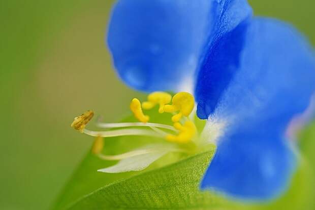 Есть только миг между прошлым и будущем... Есть только миг между прошлым и будущем...