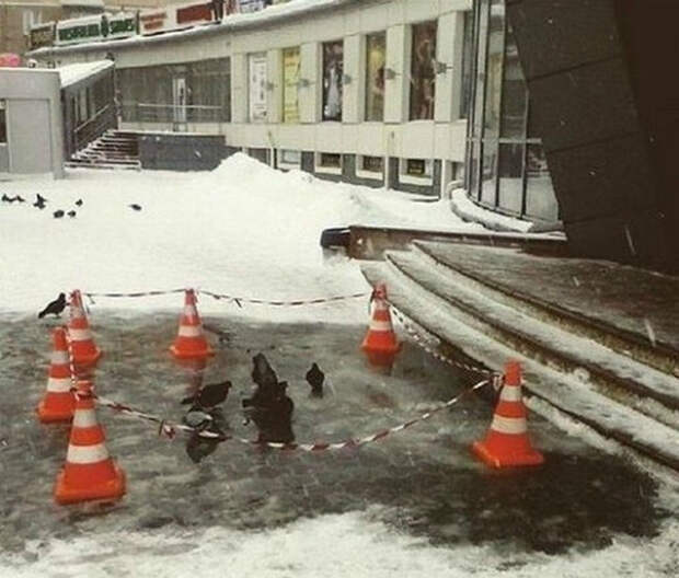 Оцепление. Оцепление.