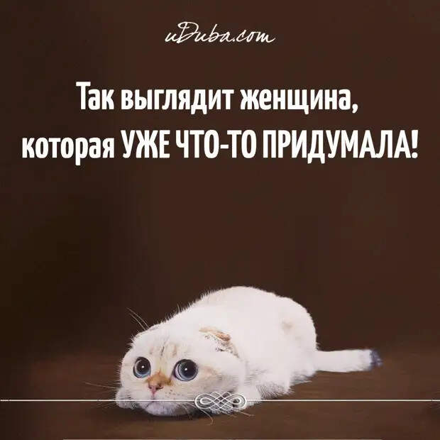 Ночь. В постели муж с женой. Жена к мужу и так мостится, и этак…