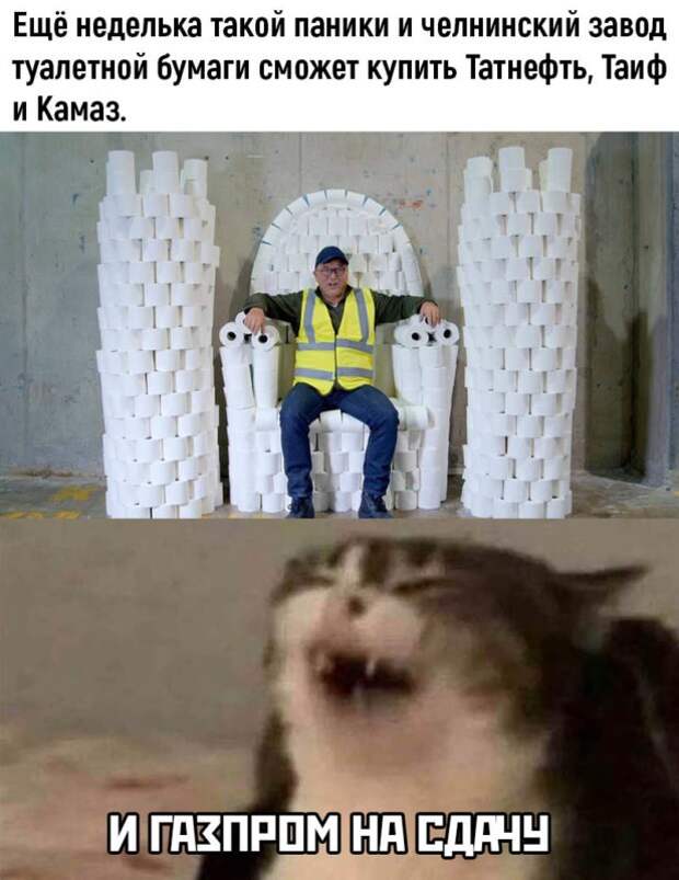 мемы про туалетную бумагу